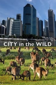 City In The Wild