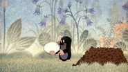 The Mole and the Egg