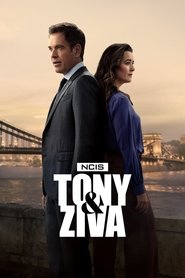 NCIS: Tony & Ziva (2025) |