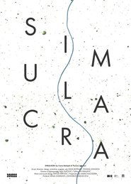Poster Simulacra 2014