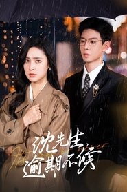 沈先生，逾期不候 (2024)