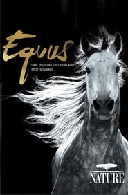 Poster Die Geschichte von Pferd und Mensch - Equus