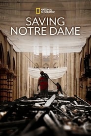 Poster Saving Notre Dame 2020