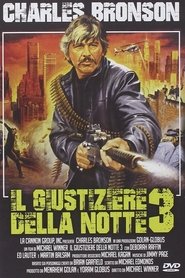 Il giustiziere della notte 3 1985 Film Completo Italiano Gratis