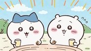 Episode 241