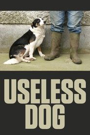 Poster Useless Dog 2004