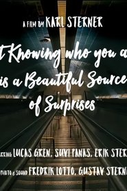 Not knowing who you are is a beautiful source of surprises) Not knowing who you are is a beautiful source of surprises (2016)