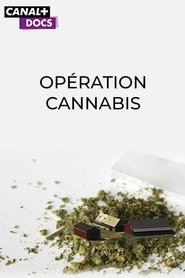 Affiche de Opération Cannabis