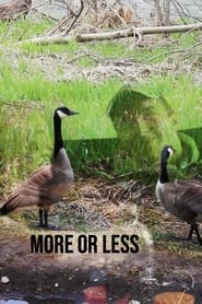 More or Less (2019)