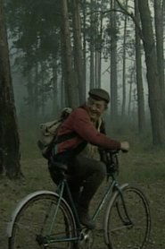 On the Swamps