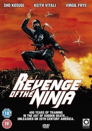 Revenge of the Ninja постер