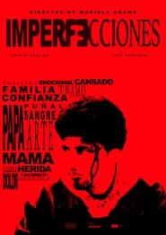 Poster Imperfecciones 2024