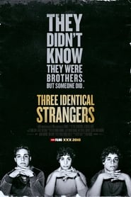 Three Identical Strangers постер