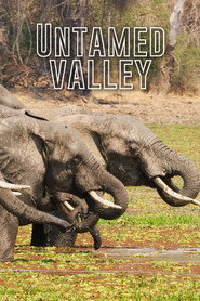 Untamed Valley постер