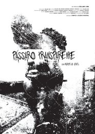 P&aacute;ssaro Transparente (2017)
