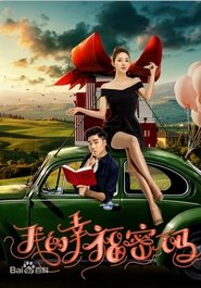 我的幸福密码 (2017)