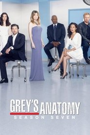Greys Anatomy 7º Temporada (2011) Blu-Ray 720p Download Torrent Dublado