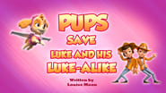 Pups Save Luke and His Luke-Alike