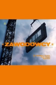 Poster Zawodowcy