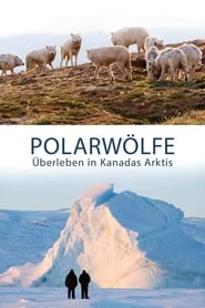 Polarwölfe - Überleben in Kanadas Arktis poster
