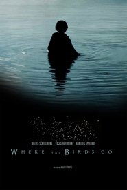 Where the birds go (2019)