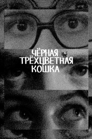 Чёрная трёхцветная кошка