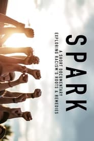 Spark: A Systemic Racism Story (2020)