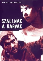 Szállnak a darvak (1957)