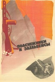 Poster Snowdrops and Edelweiss 1982