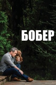 Бобер постер