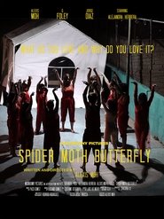 Spider Moth Butterfly 2020 Bezplatný neobmedzený prístup