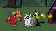 Party Fowl