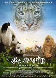 Poster Born in China