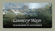 Peasmarsh in November