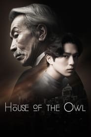 Poster House of the Owl 2024
