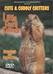 Cute & Cuddly Critters: Little Furry Friends