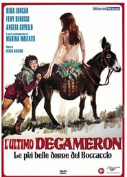 The Last Decameron: Adultery in 7 Easy Lessons streaming