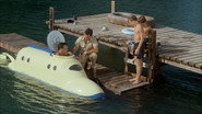 SOS Dolphin