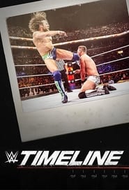 WWE Timeline poster