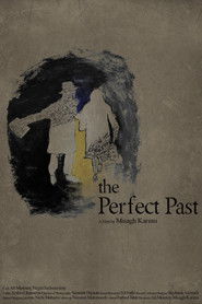 The Perfect Past (2025)