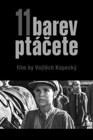 11 barev ptáčete