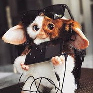 Gremlin32138920