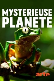 Mystérieuse planète