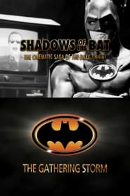 Poster Shadows of the Bat: The Cinematic Saga of the Dark Knight - The Gathering Storm