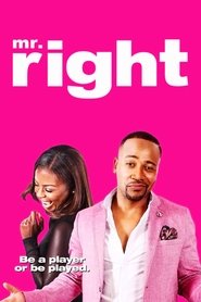 Mr. Right (2015) 