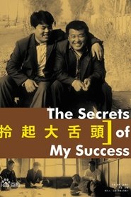 Poster Interesting Times: The Secret of My Success 2002