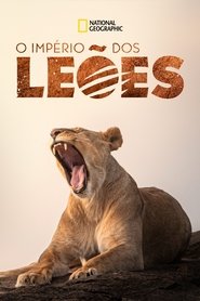 Lion Kingdom