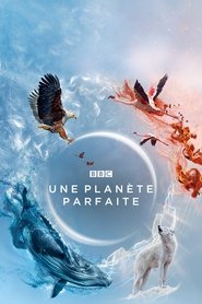 Une planète parfaite 