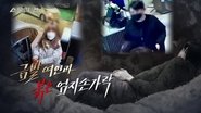 Episode 82