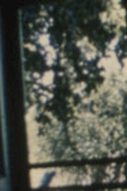 Poster Song 19 1966